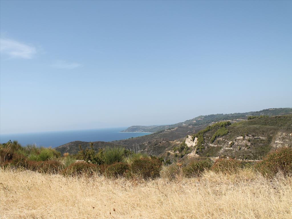  فندق في Chalkidiki, Greece 51000متر مربع رقم 8103