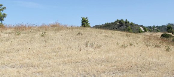 51000m² Hotel in Chalkidiki, Greece No. 8103 5