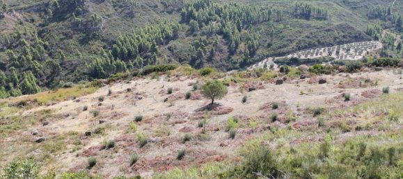 51000m² Hotel in Chalkidiki, Greece No. 8103 7