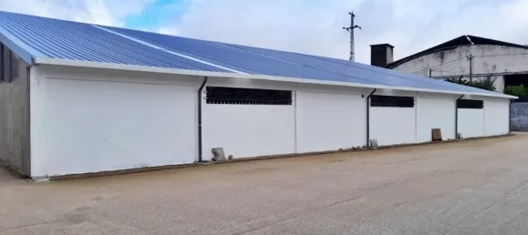 998m² Warehouse in Maia, Portugal No. 49606 14