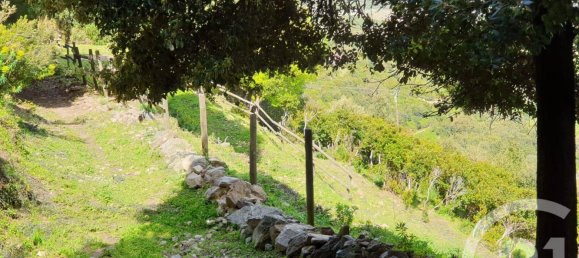 Terreno en Poggio-d'Oletta, France 4836 m² No. 78064 2