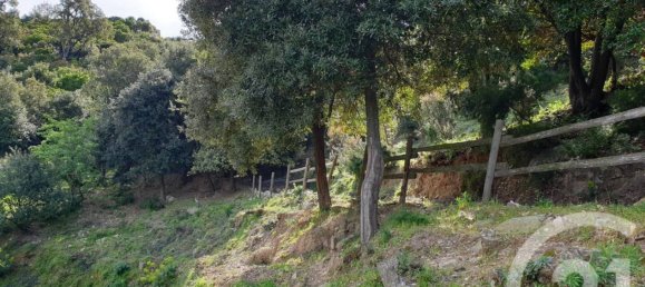 Terreno en Poggio-d'Oletta, France 4836 m² No. 78064 3