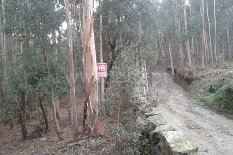  Land in Barcelos, Portugal No. 199294