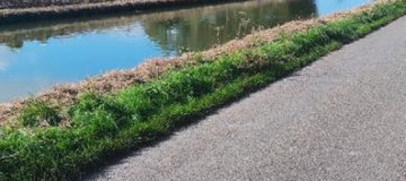 Земельный участок в Сен-Пьер-Брук, Франция № 226262 2