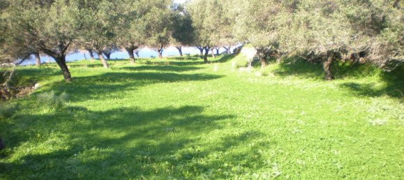 Casa de 3 habitaciónes en Motta San Giovanni, Italy No. 254205 14