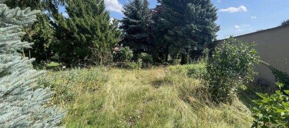 724m² Land in Hirm, Austria No. 166449 7
