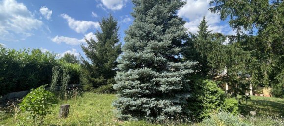 724m² Land in Hirm, Austria No. 166449 6