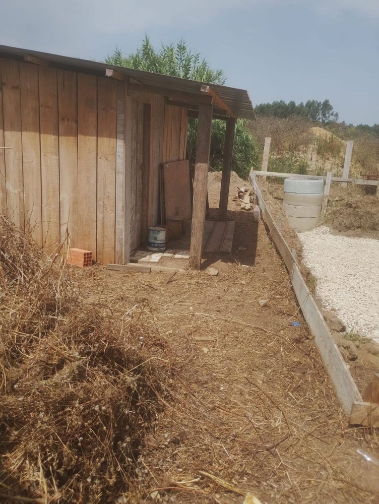 Terrain à Agueda, Portugal No. 248982