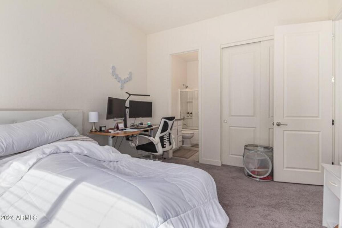 4 bedrooms House in Gilbert, USA No. 382499