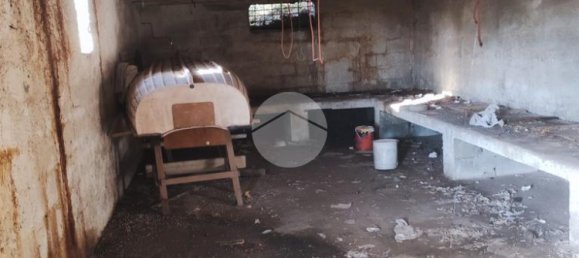 4 bedrooms House in Torre del Greco, Italy No. 85983 12