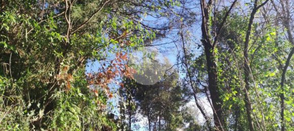 4 bedrooms House in Torre del Greco, Italy No. 85983 13