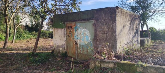 4 bedrooms House in Torre del Greco, Italy No. 85983 4