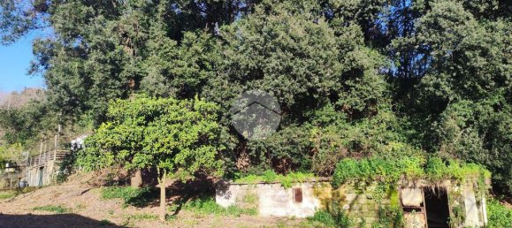 4 bedrooms House in Torre del Greco, Italy No. 85983 5