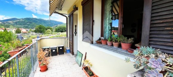 2 bedrooms Apartment in Pescia, Italy No. 264024 14