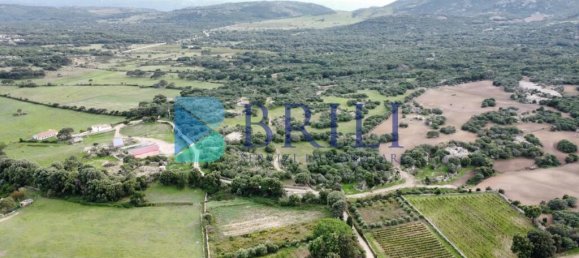 Imóvel comercial em Calangianus, Italy 700 m² N.º 326956 23