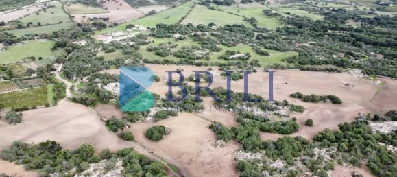 Imóvel comercial em Calangianus, Italy 700 m² N.º 326956 35