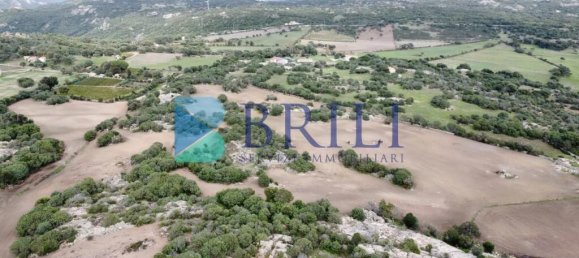 Imóvel comercial em Calangianus, Italy 700 m² N.º 326956 32