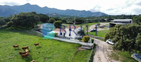 Imóvel comercial em Calangianus, Italy 700 m² N.º 326956 22