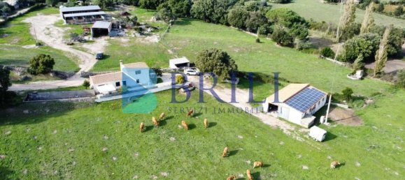 Imóvel comercial em Calangianus, Italy 700 m² N.º 326956 5