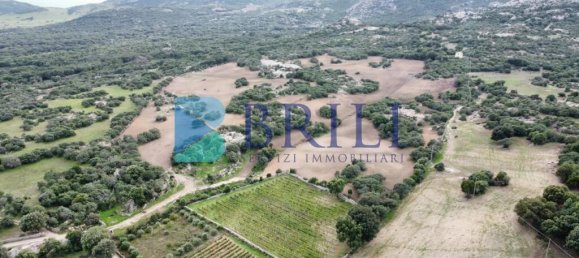 Imóvel comercial em Calangianus, Italy 700 m² N.º 326956 27