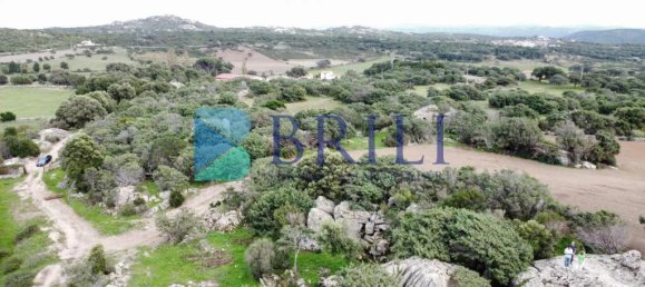 Imóvel comercial em Calangianus, Italy 700 m² N.º 326956 38