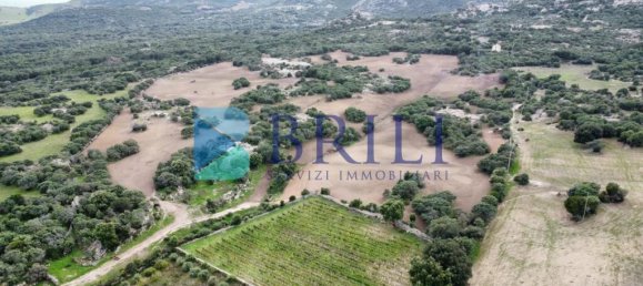 Imóvel comercial em Calangianus, Italy 700 m² N.º 326956 30