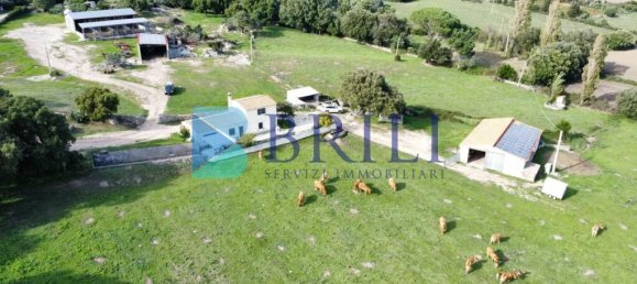 Imóvel comercial em Calangianus, Italy 700 m² N.º 326956 19