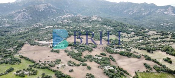 Imóvel comercial em Calangianus, Italy 700 m² N.º 326956 31