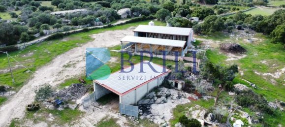 Imóvel comercial em Calangianus, Italy 700 m² N.º 326956 20