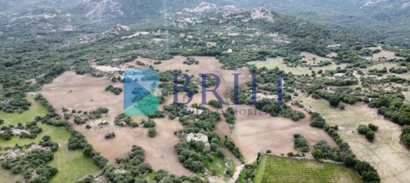 Imóvel comercial em Calangianus, Italy 700 m² N.º 326956 33