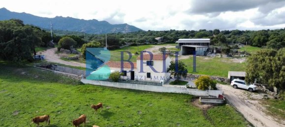 Imóvel comercial em Calangianus, Italy 700 m² N.º 326956 26