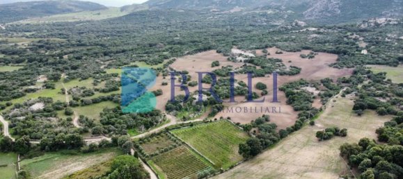 Imóvel comercial em Calangianus, Italy 700 m² N.º 326956 24