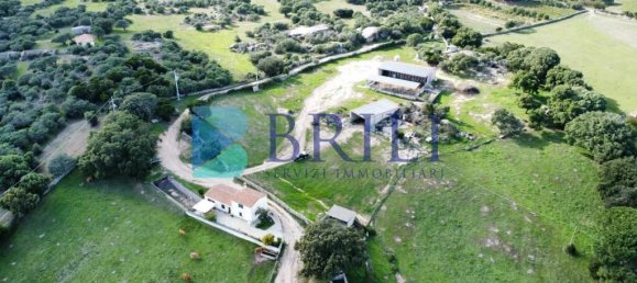 Imóvel comercial em Calangianus, Italy 700 m² N.º 326956 3