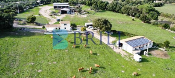 Imóvel comercial em Calangianus, Italy 700 m² N.º 326956 21