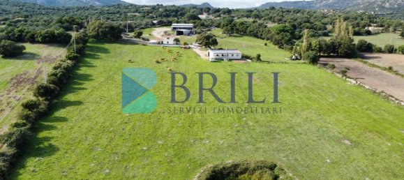 Imóvel comercial em Calangianus, Italy 700 m² N.º 326956 2