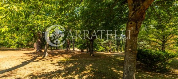 13-Zimmer Haus in Foiano della Chiana, Italy, Nr. 79942 7