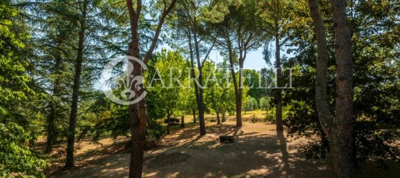 13-Zimmer Haus in Foiano della Chiana, Italy, Nr. 79942 13