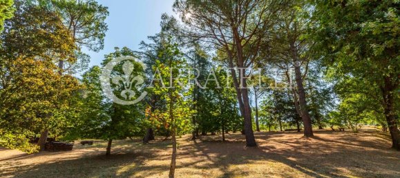 13-Zimmer Haus in Foiano della Chiana, Italy, Nr. 79942 12