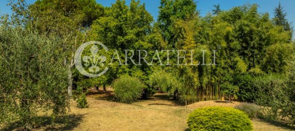 13-Zimmer Haus in Foiano della Chiana, Italy, Nr. 79942 9