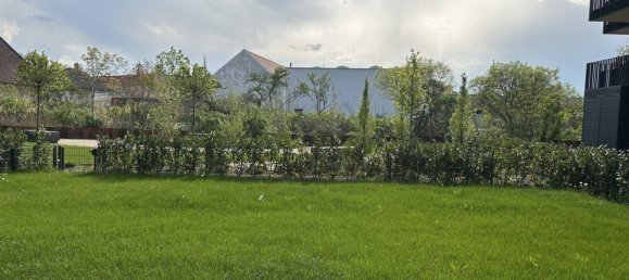 4-Zimmer Büro in Achau, Austria, Nr. 213906 5