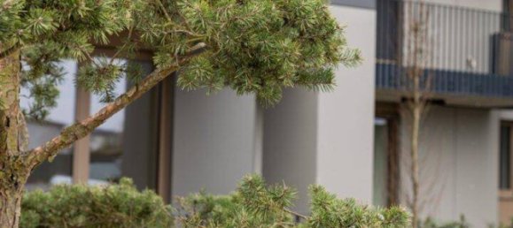 4-Zimmer Büro in Achau, Austria, Nr. 213906 3