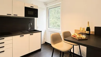 Studio in Rudolfsheim-Funfhaus, Austria No. 209436