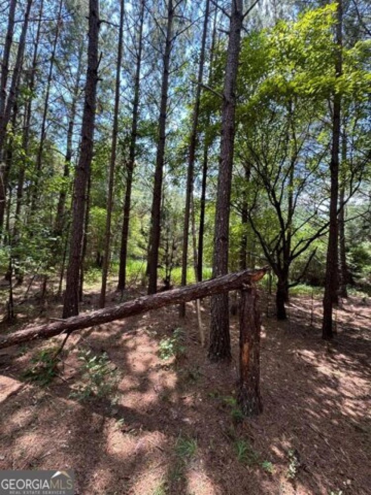 Terreno em Arnoldsville, USA N.º 502099