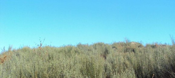 Земельный участок в Soalhaes, Португалия № 46089 10