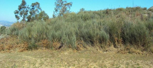 Земельный участок в Soalhaes, Португалия № 46089 3