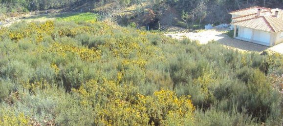 Земельный участок в Soalhaes, Португалия № 46089 13