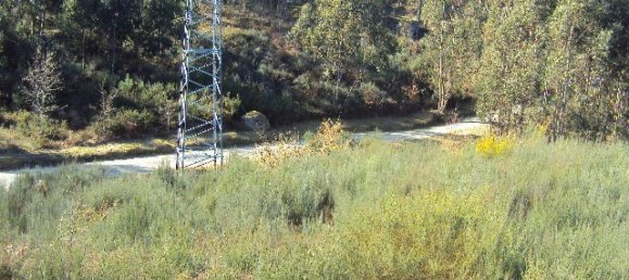 Земельный участок в Soalhaes, Португалия № 46089 15