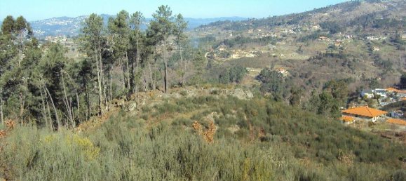 Земельный участок в Soalhaes, Португалия № 46089 11