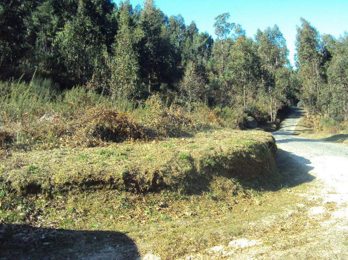 Земельный участок в Soalhaes, Португалия № 46089