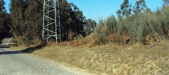 Земельный участок в Soalhaes, Португалия № 46089 6